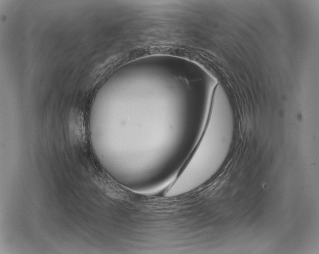 X0000080751252200612151306