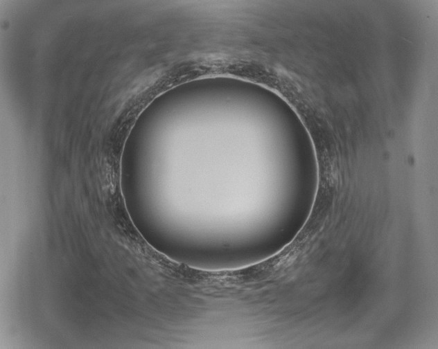 X0000080751253200612151306