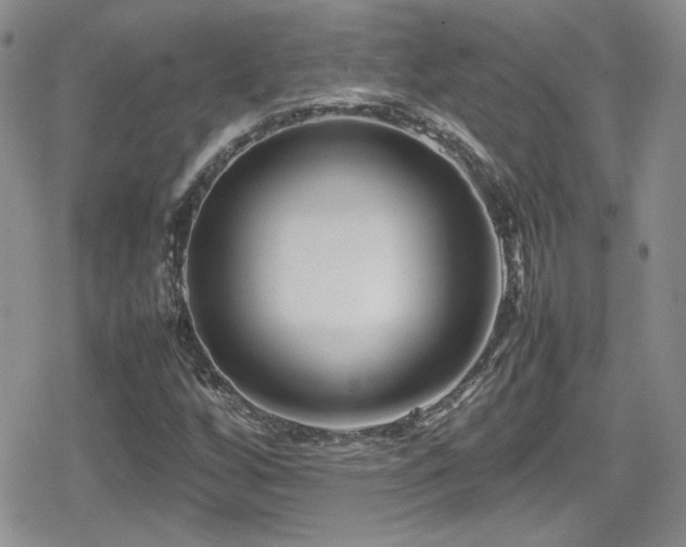 X0000080751256200612151306