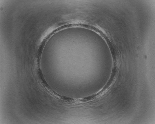 X0000080751263200612151305