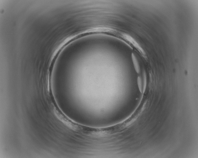 X0000080751276200612151305
