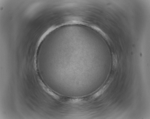 X0000080751278200612151305