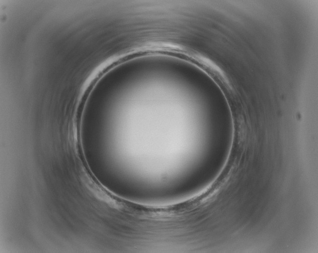 X0000080751280200612151305
