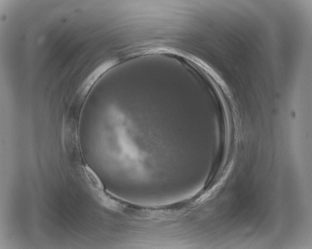 X0000080751289200612151305