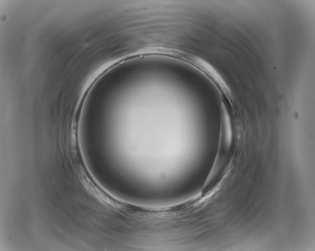 X0000080751292200612151305