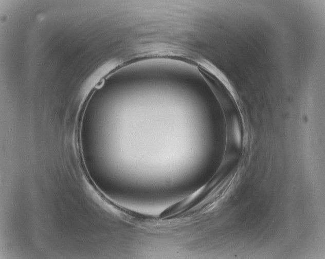 X0000080751293200612151305