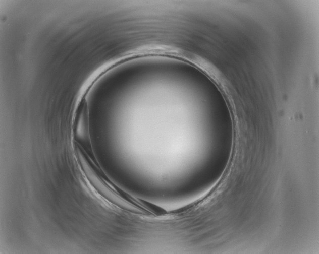 X0000080751296200612151305