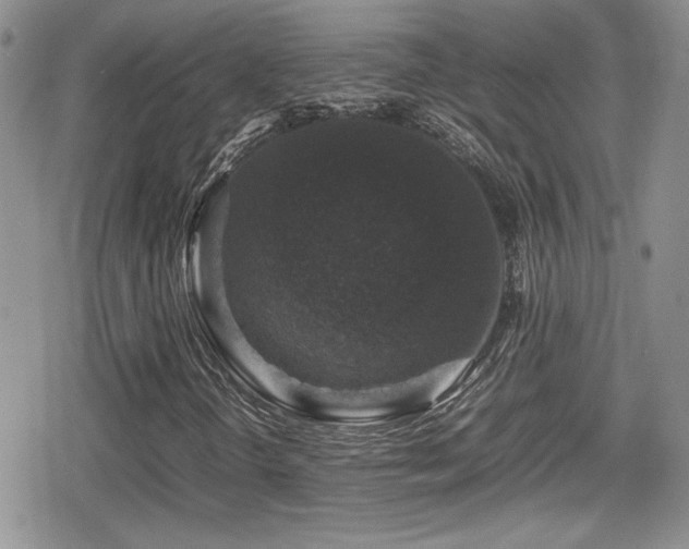 X0000080751298200612151304