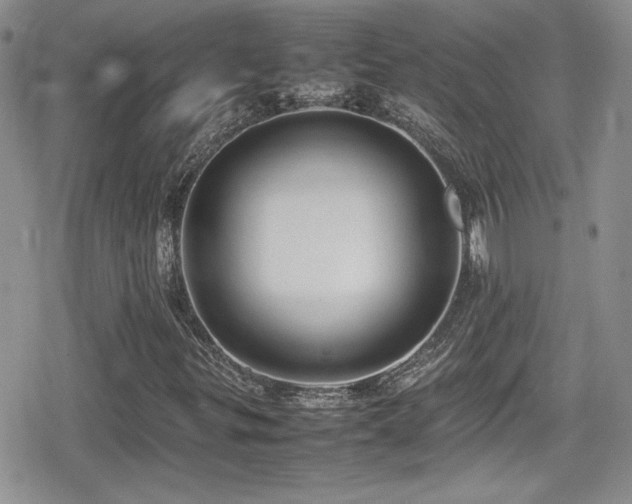 X0000080751299200612151304