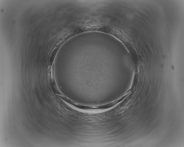 X0000080751300200612151304
