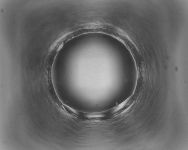 X0000080751304200612151304