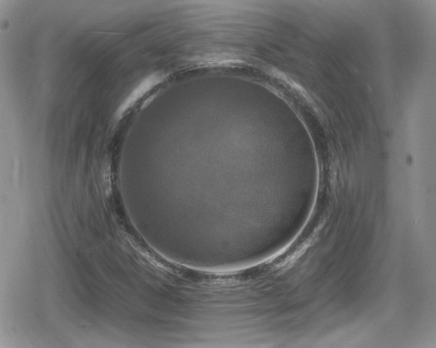 X0000080751306200612151304