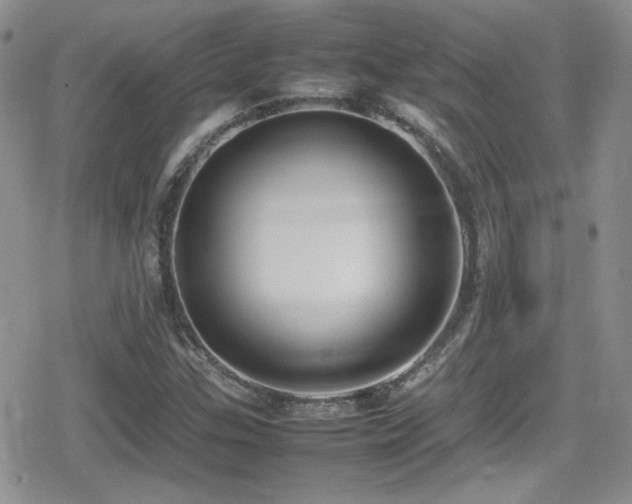 X0000080751307200612151304
