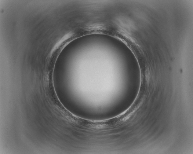 X0000080751309200612151304