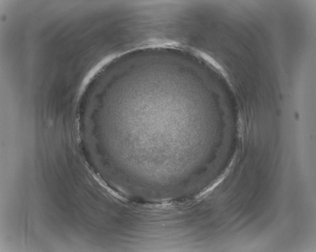 X0000080751310200612151304