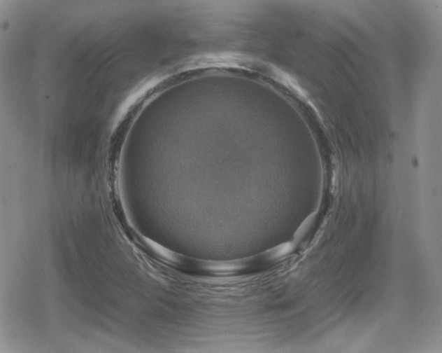 X0000080751312200612151304