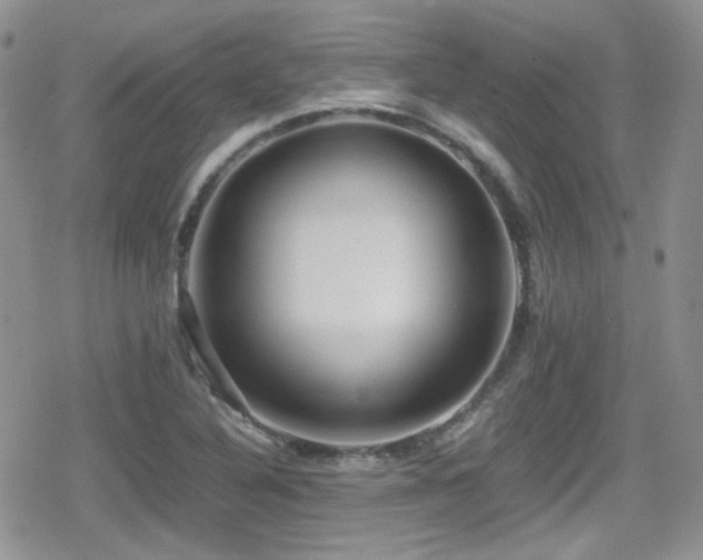 X0000080751316200612151304