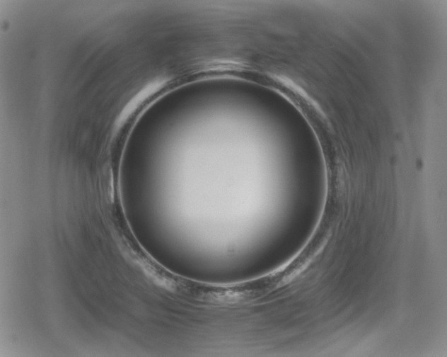 X0000080751317200612151304