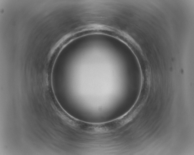 X0000080751318200612151304