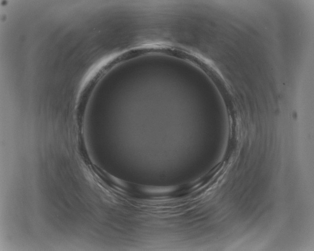 X0000080751319200612151304