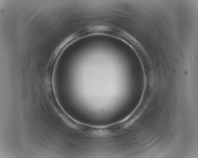 X0000080751321200612151304