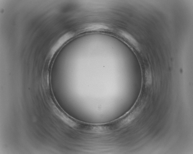 X0000080751322200612151305