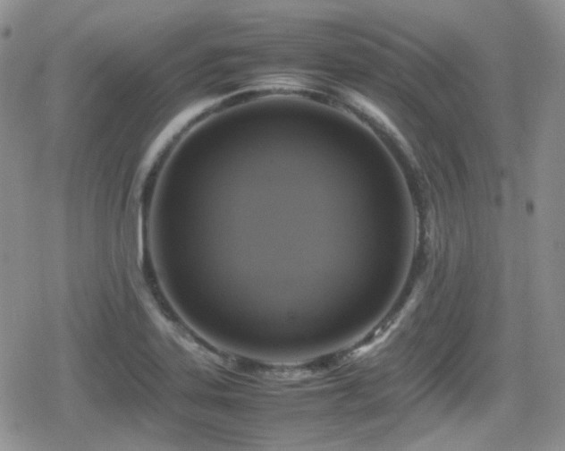 X0000080751323200612151305