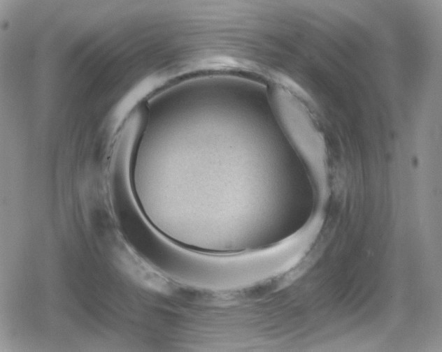X0000080751326200612151305