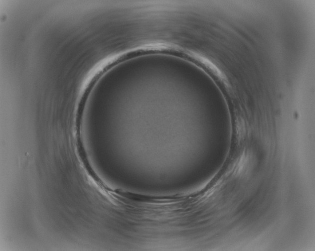 X0000080751327200612151305