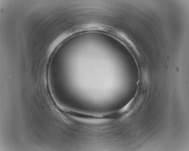 X0000080751328200612151305