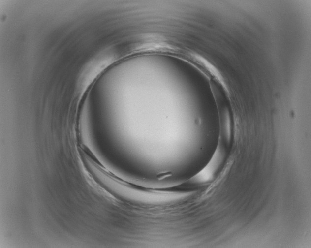 X0000080751330200612151305