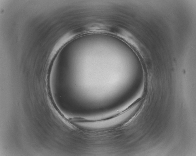 X0000080751333200612151305
