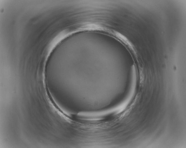 X0000080751334200612151305