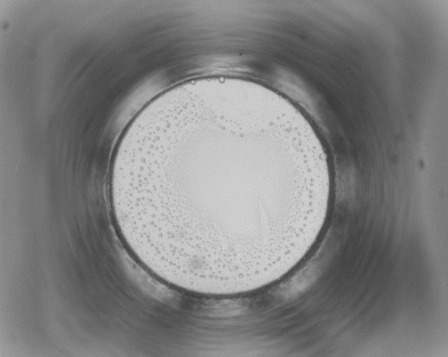 X0000080751338200612151305