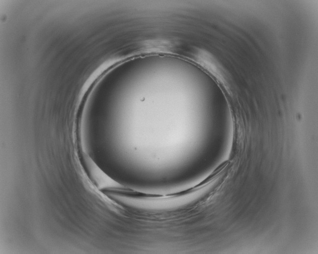 X0000080751339200612151305