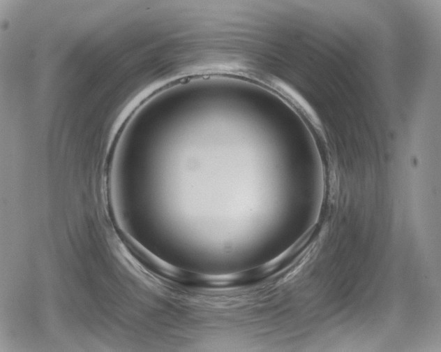 X0000080751340200612151305