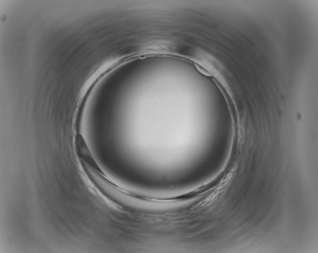 X0000080751341200612151305