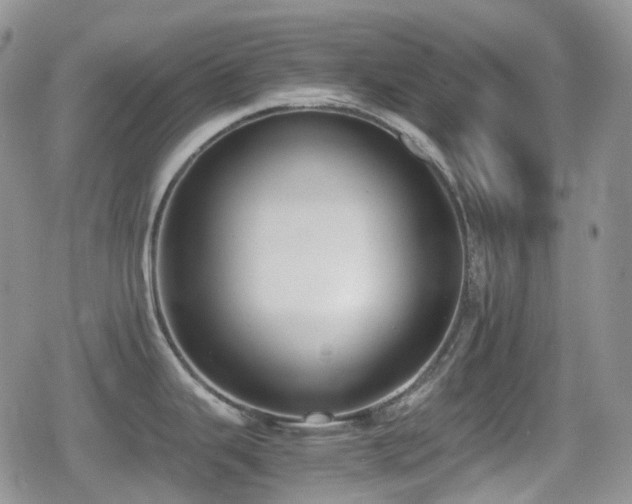X0000080751343200612151305