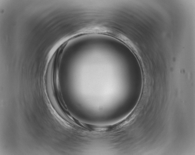 X0000080751344200612151305