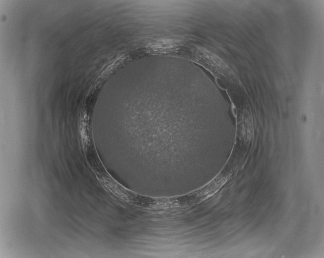 X0000080751346200612151304
