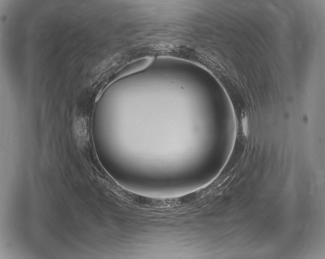 X0000080751347200612151304