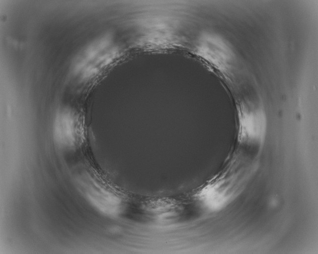 X0000080751348200612151304