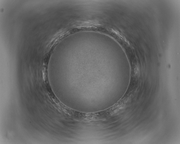 X0000080751350200612151304
