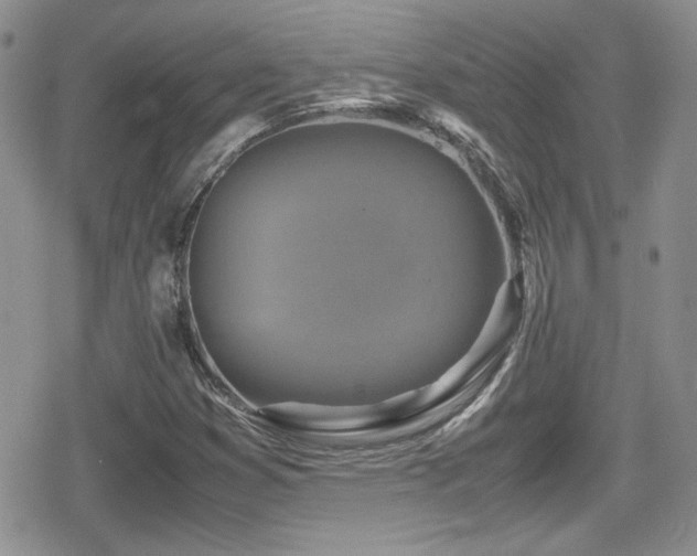 X0000080751353200612151304