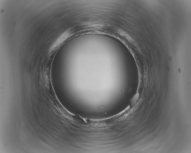 X0000080751354200612151304