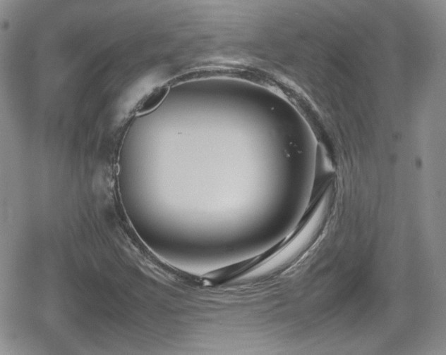 X0000080751355200612151304