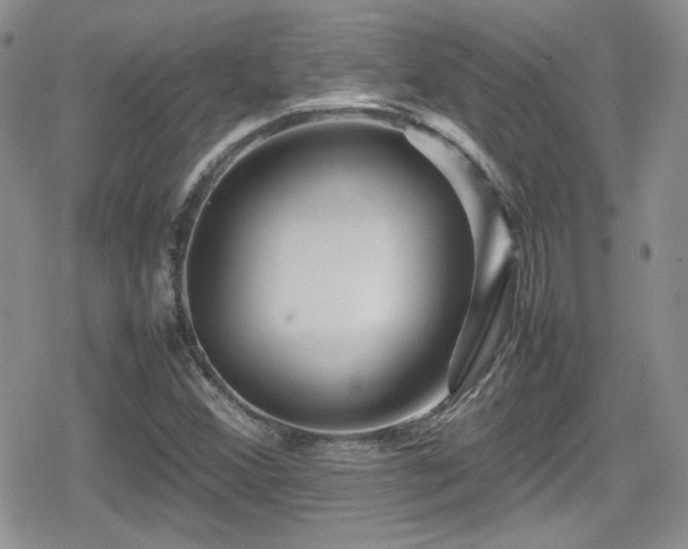 X0000080751356200612151304