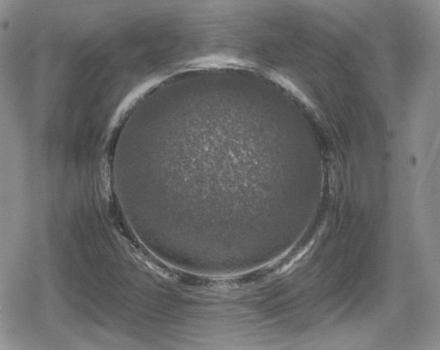X0000080751358200612151304