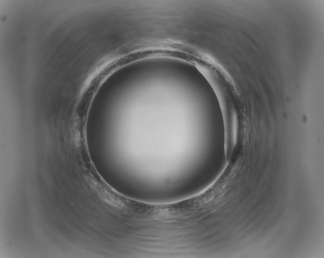 X0000080751360200612151304