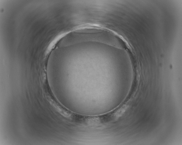 X0000080751363200612151304